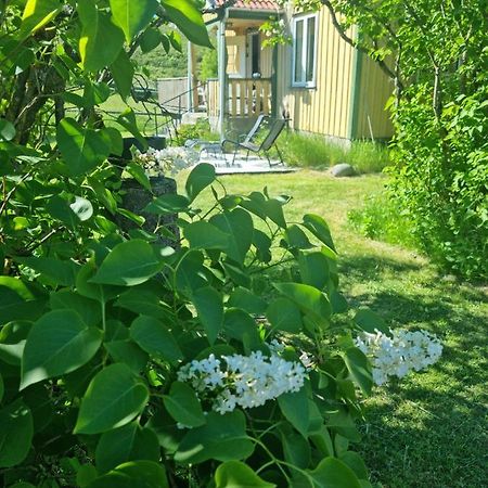 Charmigt Hus Pa Landet Naera Till Bad Strömstad Εξωτερικό φωτογραφία